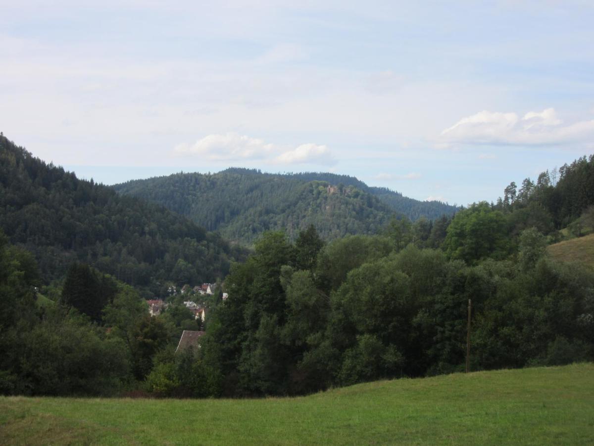 Ferienwohnungen Schwabenhof Schramberg Esterno foto