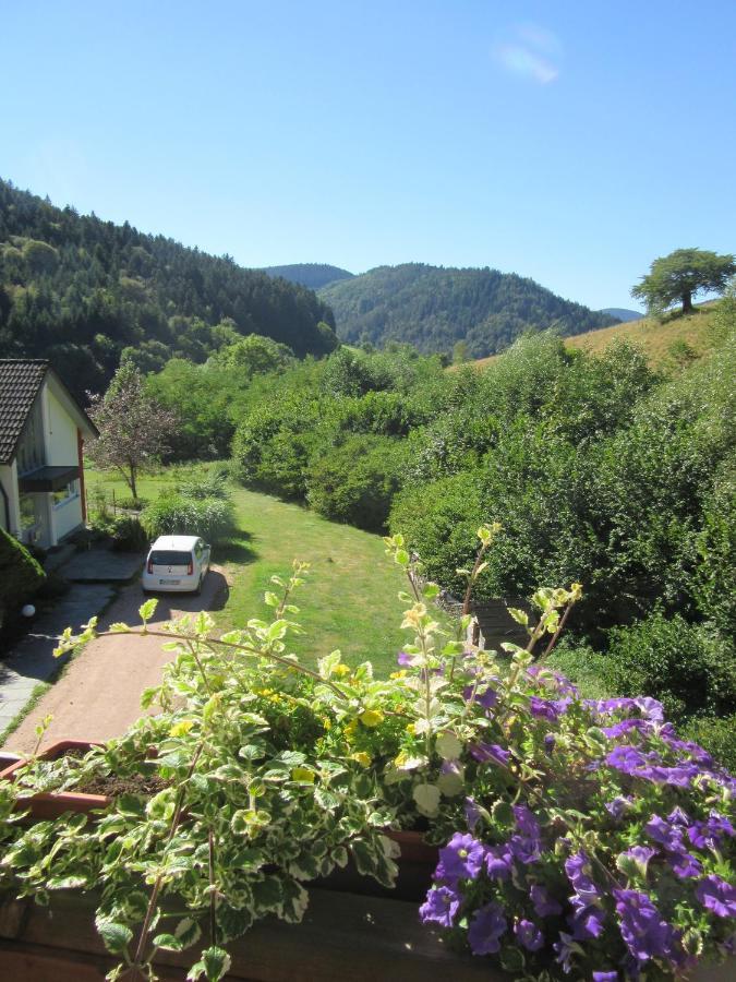 Ferienwohnungen Schwabenhof Schramberg Esterno foto