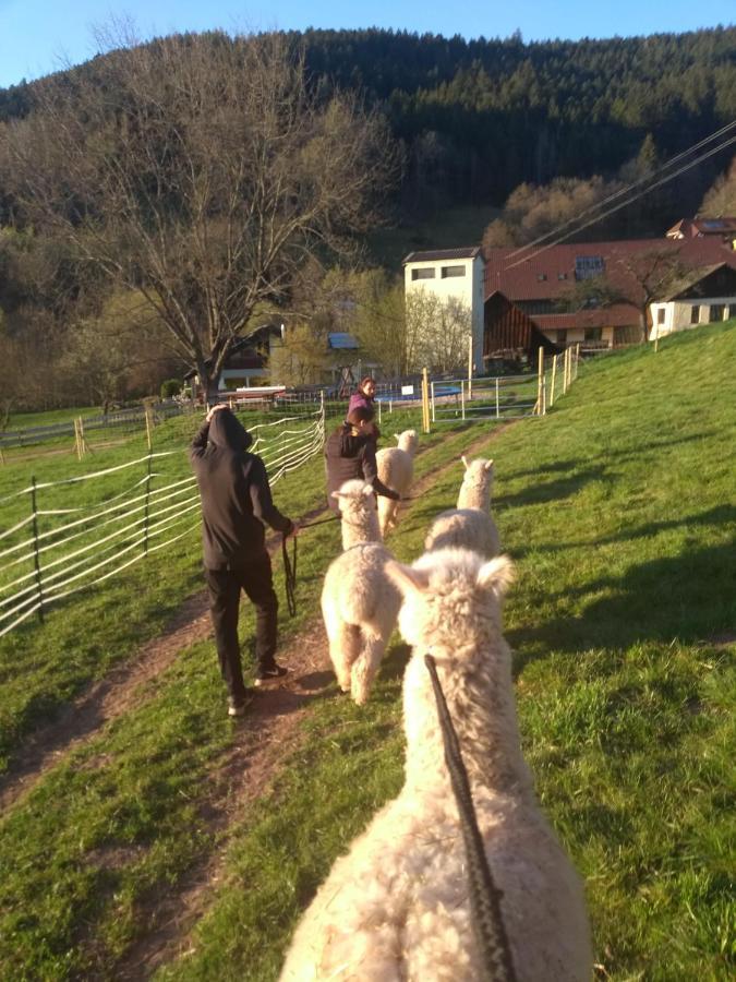 Ferienwohnungen Schwabenhof Schramberg Esterno foto